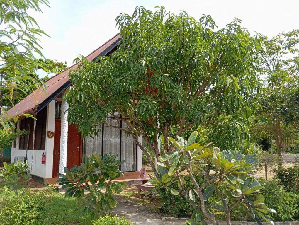 Passi Nature Villas Passikudah nghỉ mát Kalkudah Ngoại thất bức ảnh